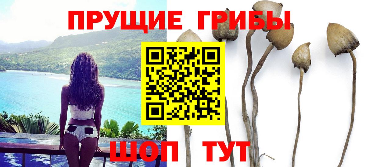 Псилоцибиновые грибы Magic Shrooms Баксан